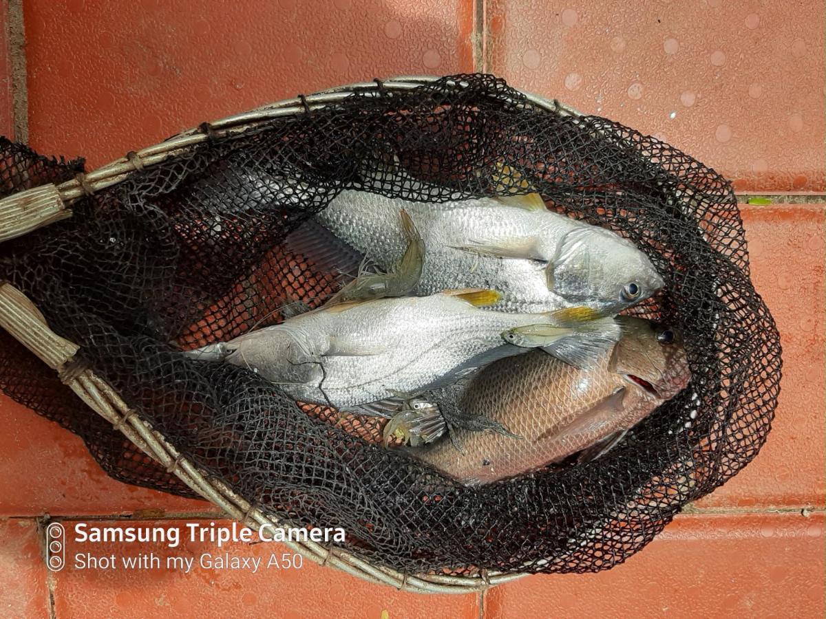 Cheenavala Fishing Homestay Kochi Zewnętrze zdjęcie