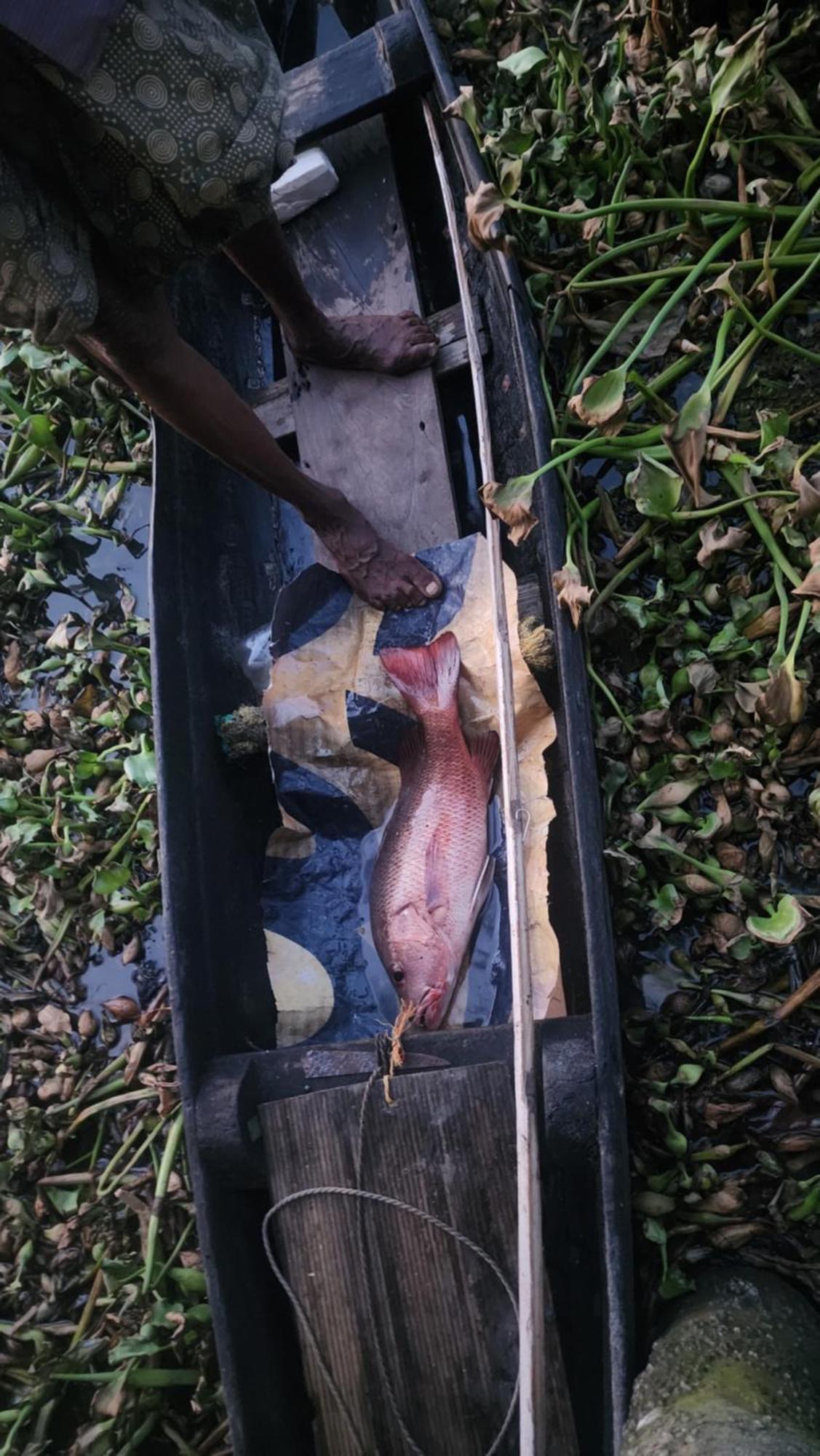 Cheenavala Fishing Homestay Kochi Zewnętrze zdjęcie