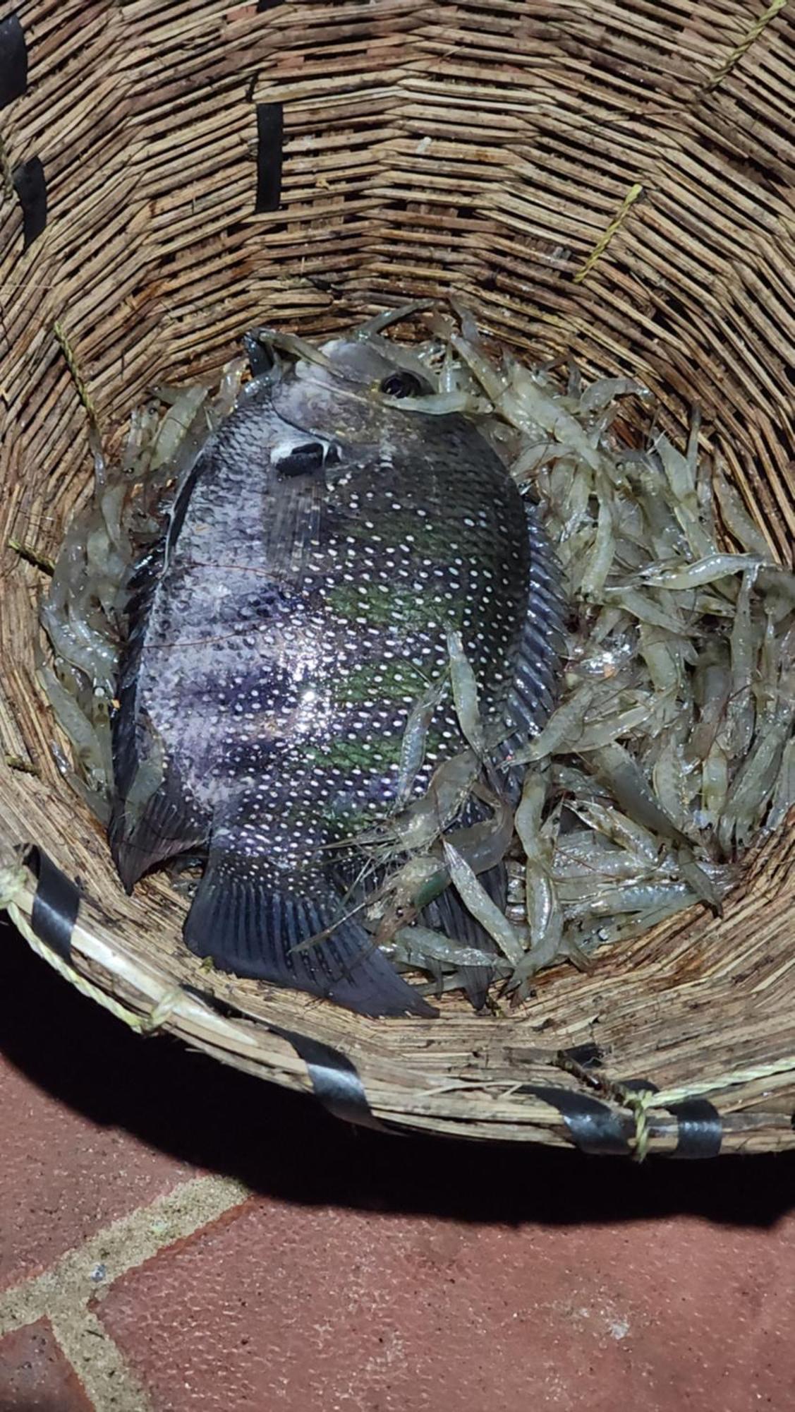 Cheenavala Fishing Homestay Kochi Zewnętrze zdjęcie