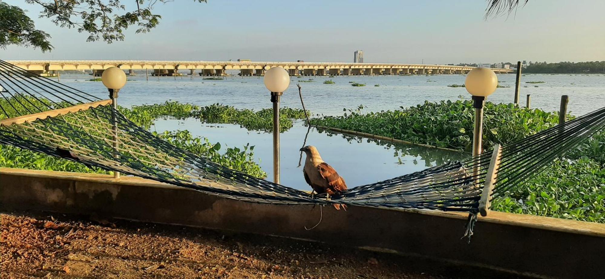 Cheenavala Fishing Homestay Kochi Zewnętrze zdjęcie
